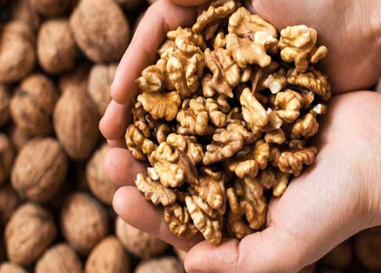 ‌گوێز؛ باشترین خۆراک بۆ گەشەی مێشک و بەهێزکردنی بیرەوەری